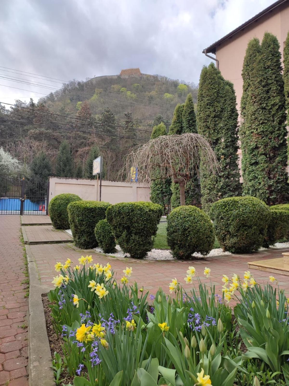 Casa Alina Hotell Deva Rum bild
